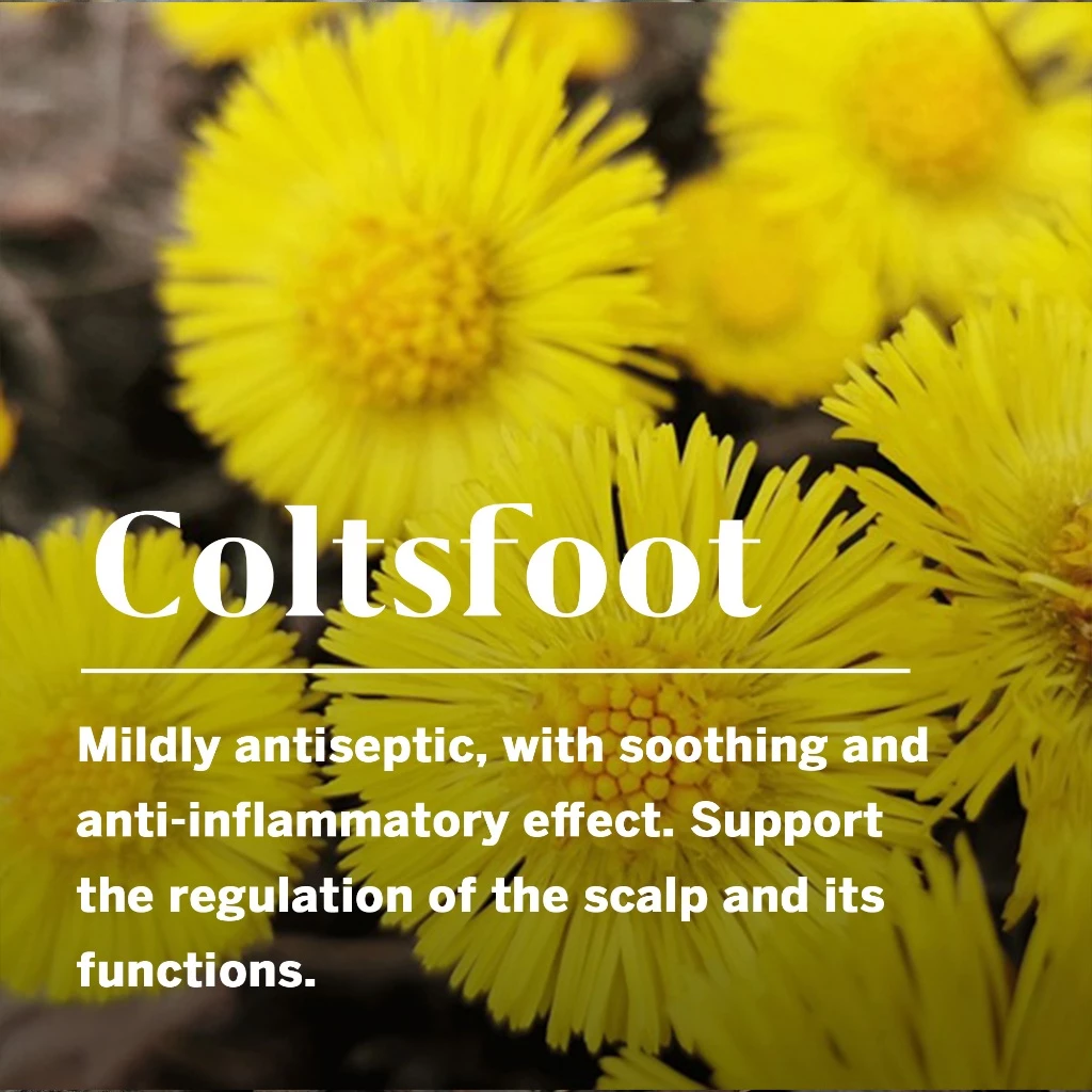 Coltsfoot conditioner_listing-4